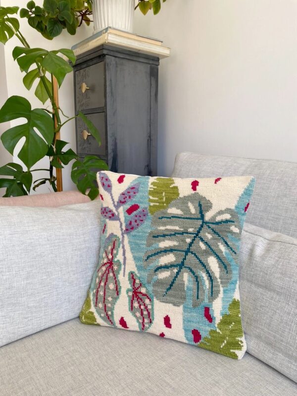 Kit Monstera - Imagen 2